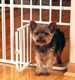 Big Tuffy Expandable Gate with Small Pet Door - Click Image to Close