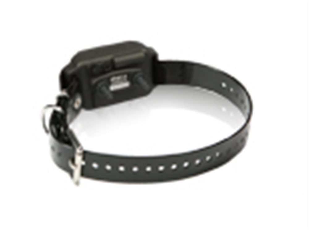 Dummy Collar - Click Image to Close