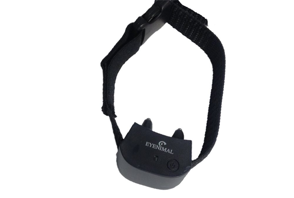 Miniature Collar for Eyenimal Containment Fence - Click Image to Close