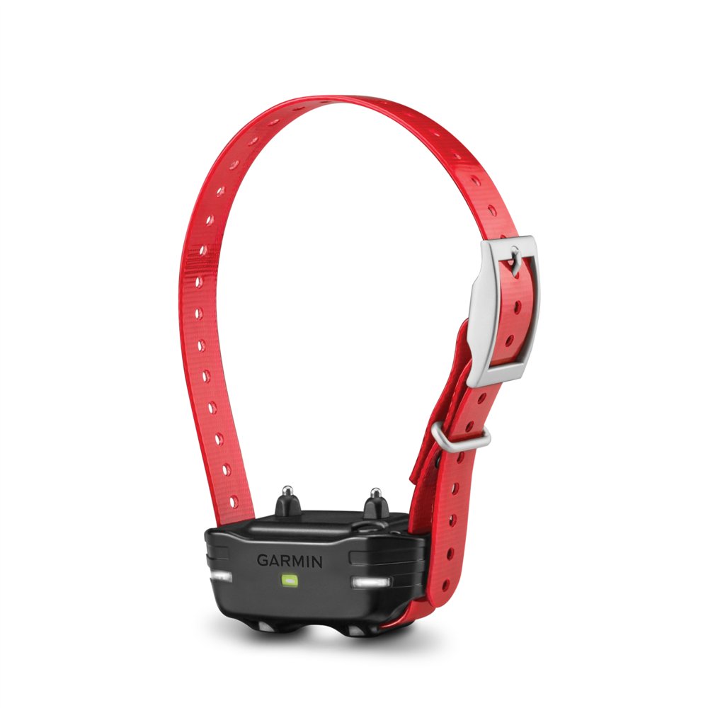 PT 10 Dog Device with Red Strap - Click Image to Close