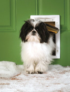 Extreme Weather Pet Door - Small - Click Image to Close