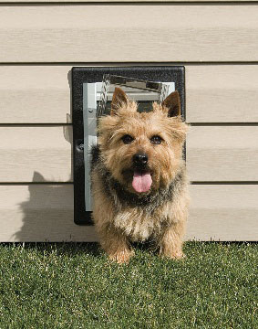 Wall Entry Pet Door - Small - Click Image to Close