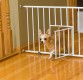 Mini Gate with Pet Door