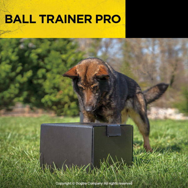 Ball Trainer Pro