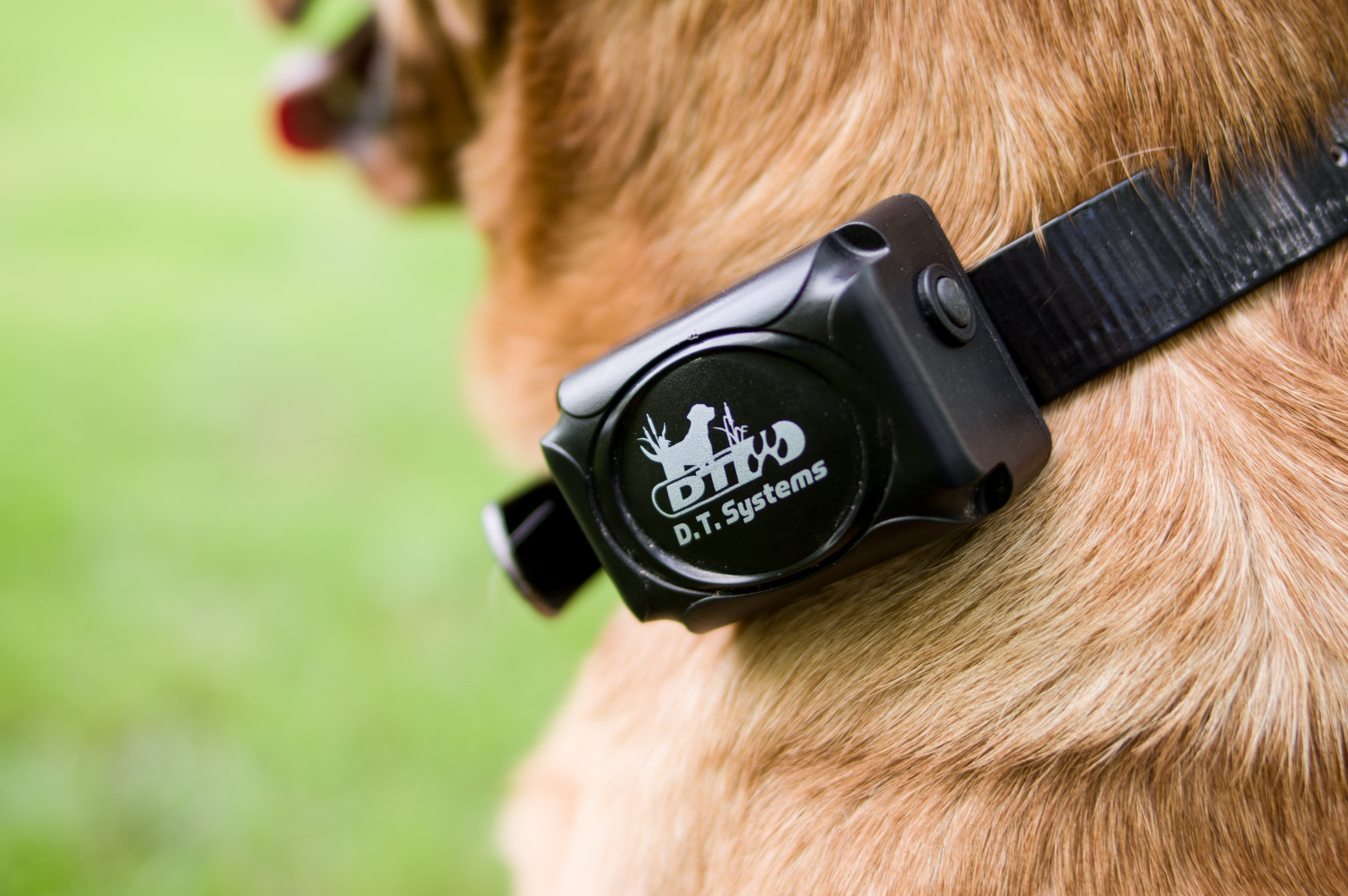 H2O ADD-ON or Replacement Collar