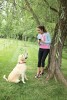 Stubborn Dog Stay + Play Wireless Fence