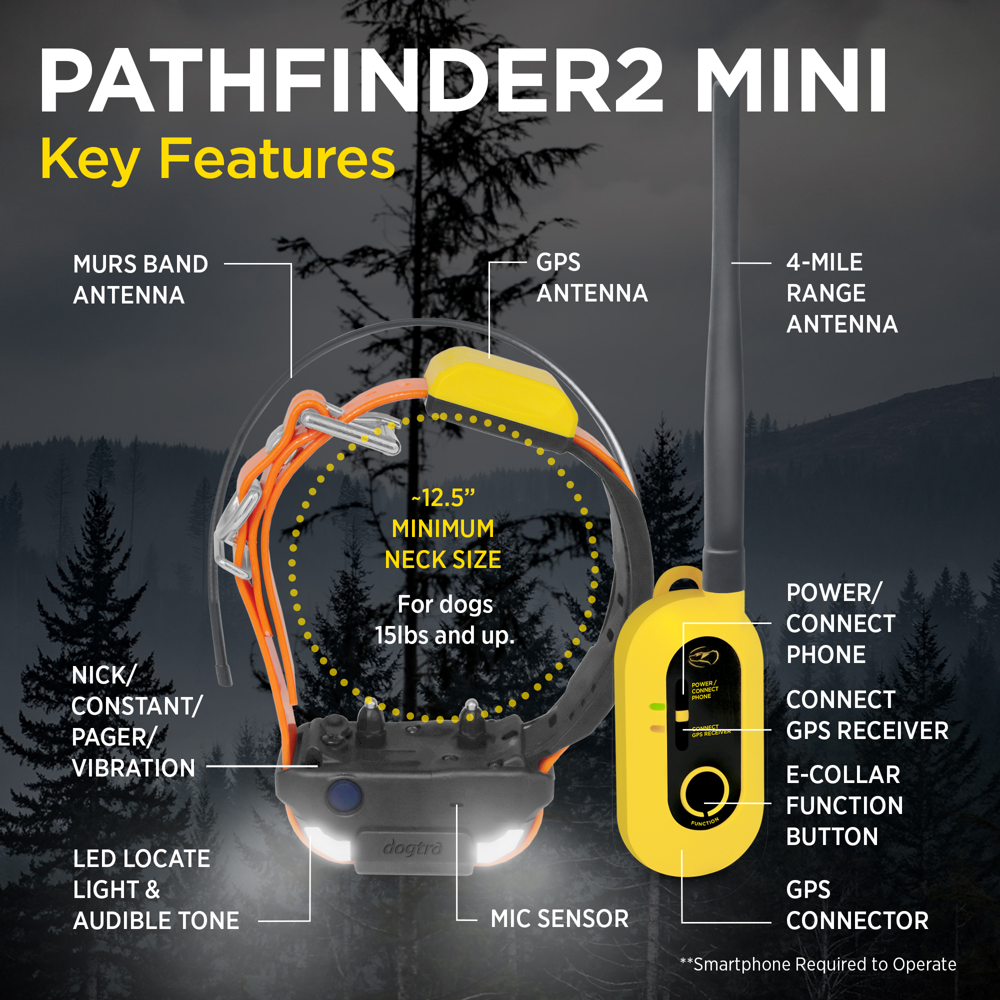 Pathfinder 2 Mini