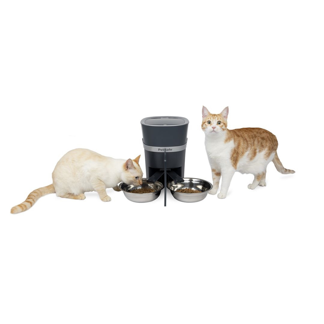 2-Pet Meal Splitter with Bowl - Click Image to Close