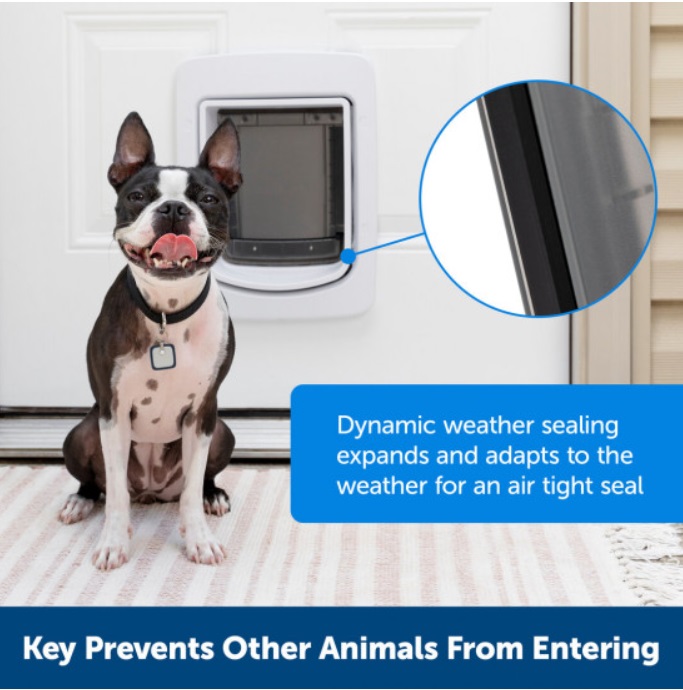 SmartDoor Connected Pet Door-Large - Click Image to Close