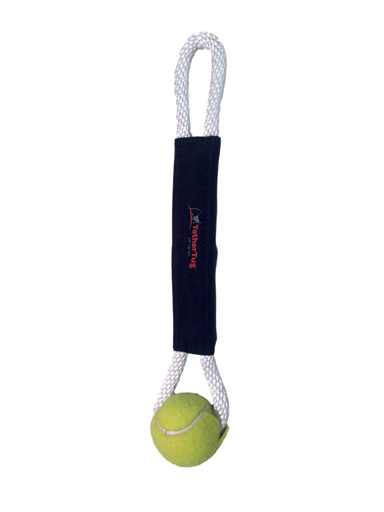 Ball Toy Plus Attachment - Click Image to Close