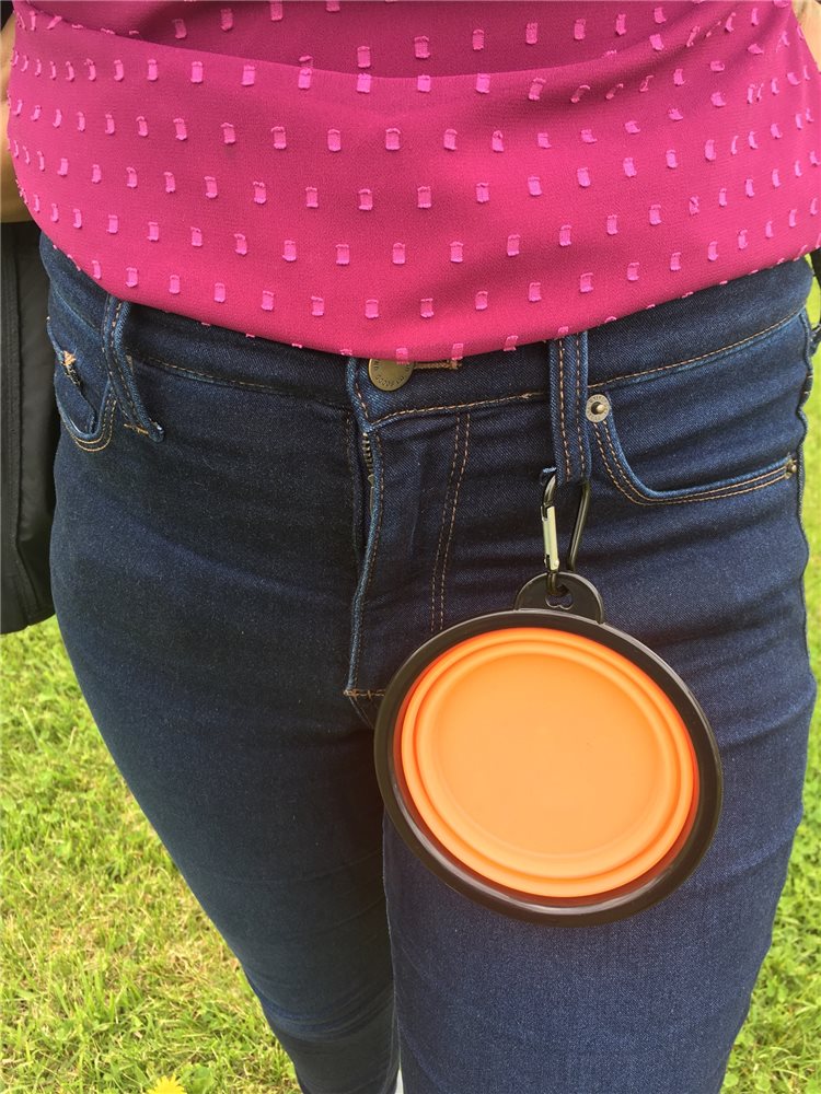 Collapsible Travel Bowl - Click Image to Close