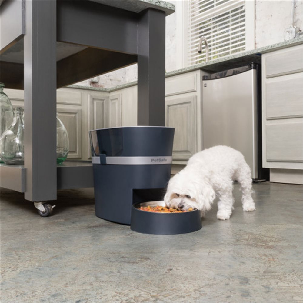 Automatic Pet Feeder 2.0 - Click Image to Close
