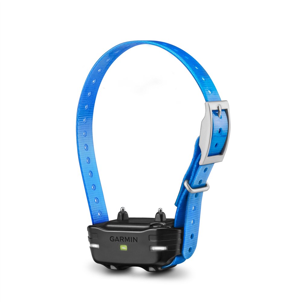 PT 10 Dog Device with Blue Strap - Click Image to Close
