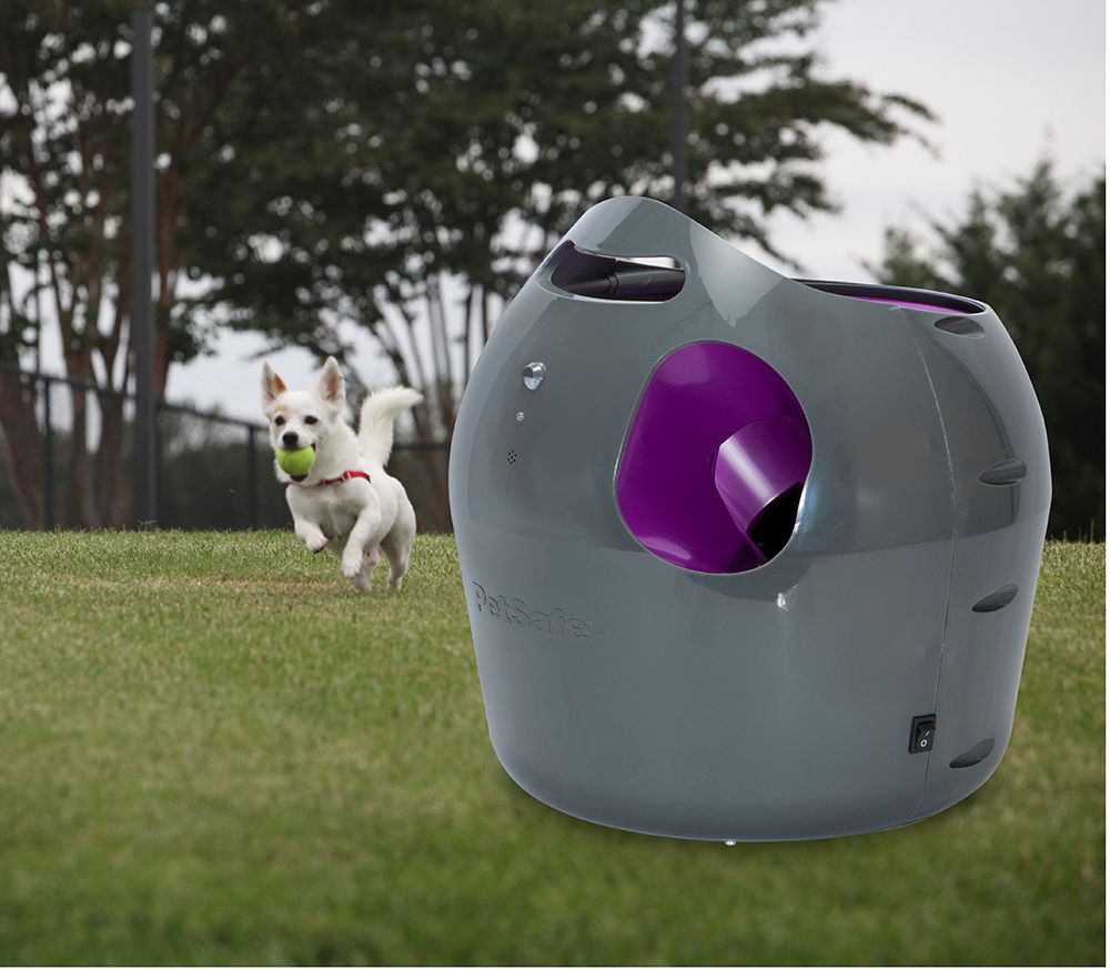 Automatic Ball Launcher - Click Image to Close