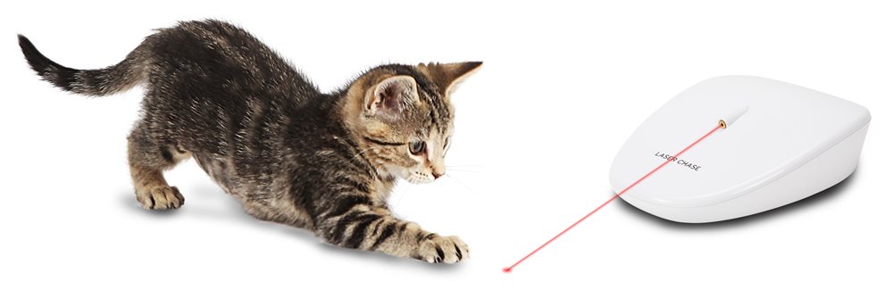 Laser Tail - Click Image to Close