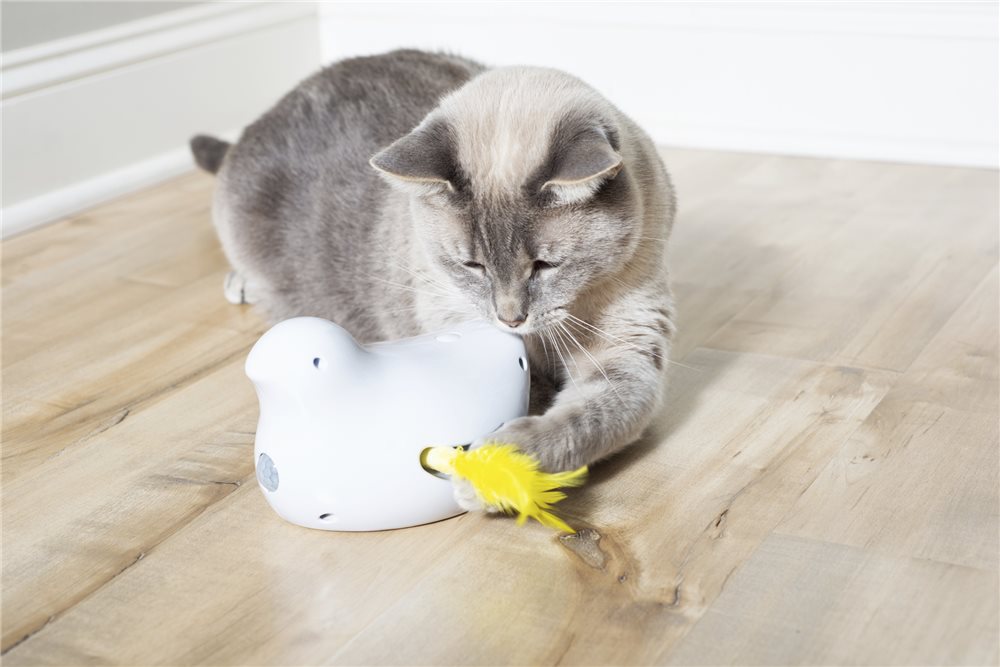 Peek-a-Bird Electronic Cat Toy - Click Image to Close