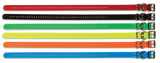 3/4 Inch E-collar strap - Click Image to Close