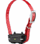 PT 10 Dog Device with Red Strap