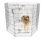 Ultimate Exercise Pen - 48